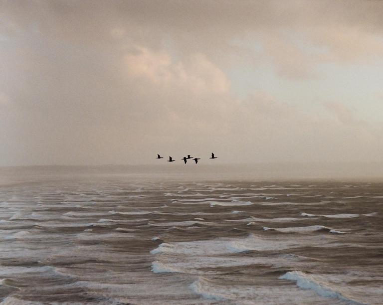 A flock of birds flies over a choppy sea under a cloudy sky.