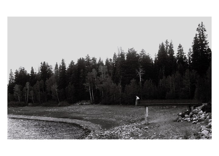 A person stands on a wooden bridge over a rocky shore next to a forest.