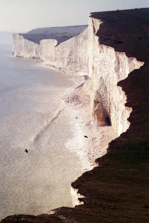 Two birds fly over the water next to the Seven Sisters cliffs in Sussex, England.