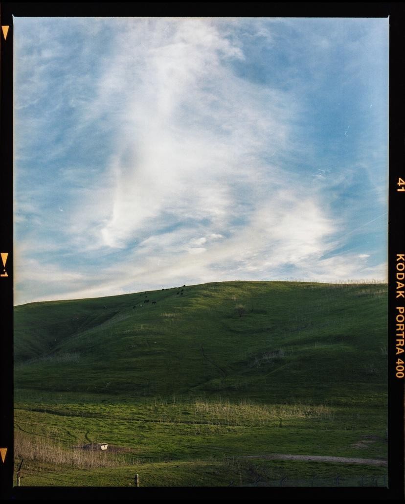 A green hill with cattle grazing on its slope is visible under a blue sky with wispy clouds.