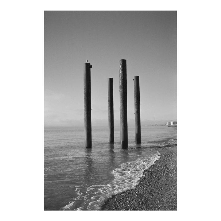 Four wooden posts stand in the water near a pebbled beach with a small bird perched on one post.