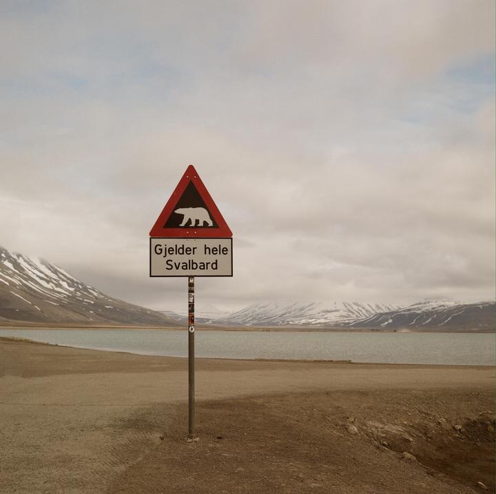 A polar bear warning sign stands on a dirt road next to a body of water with snow-capped mountains in the background under an overcast sky.
