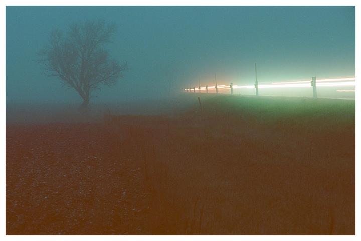 A lone tree stands in a foggy landscape with light trails from passing vehicles on the right.