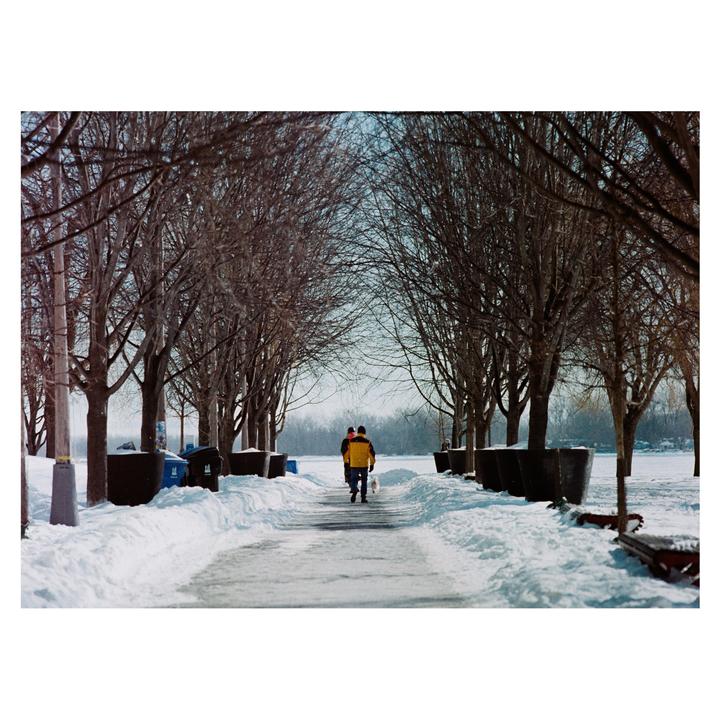A man walks a small dog down a snow-covered path lined with bare trees.