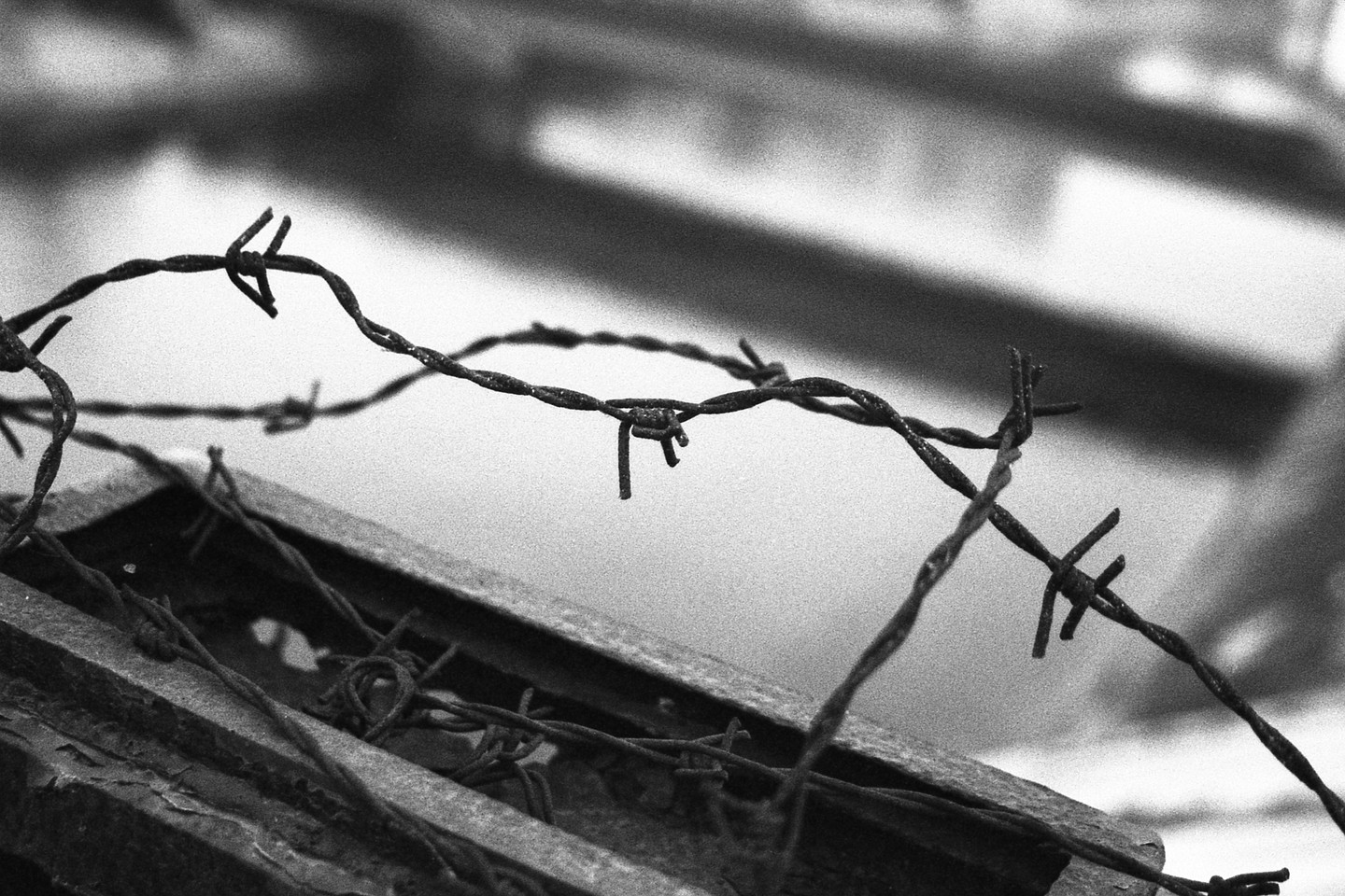 Close-up of rusty barbed wire with a blurred background.