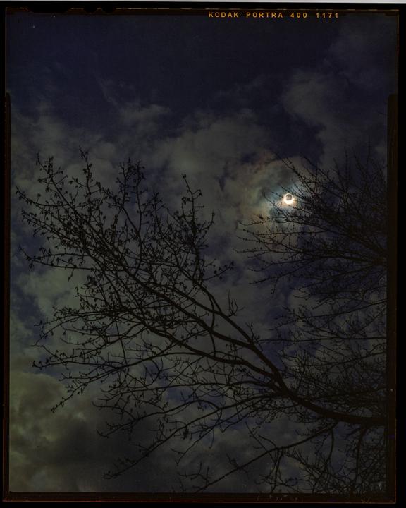 Bare tree branches are silhouetted against a cloudy sky during a solar eclipse.