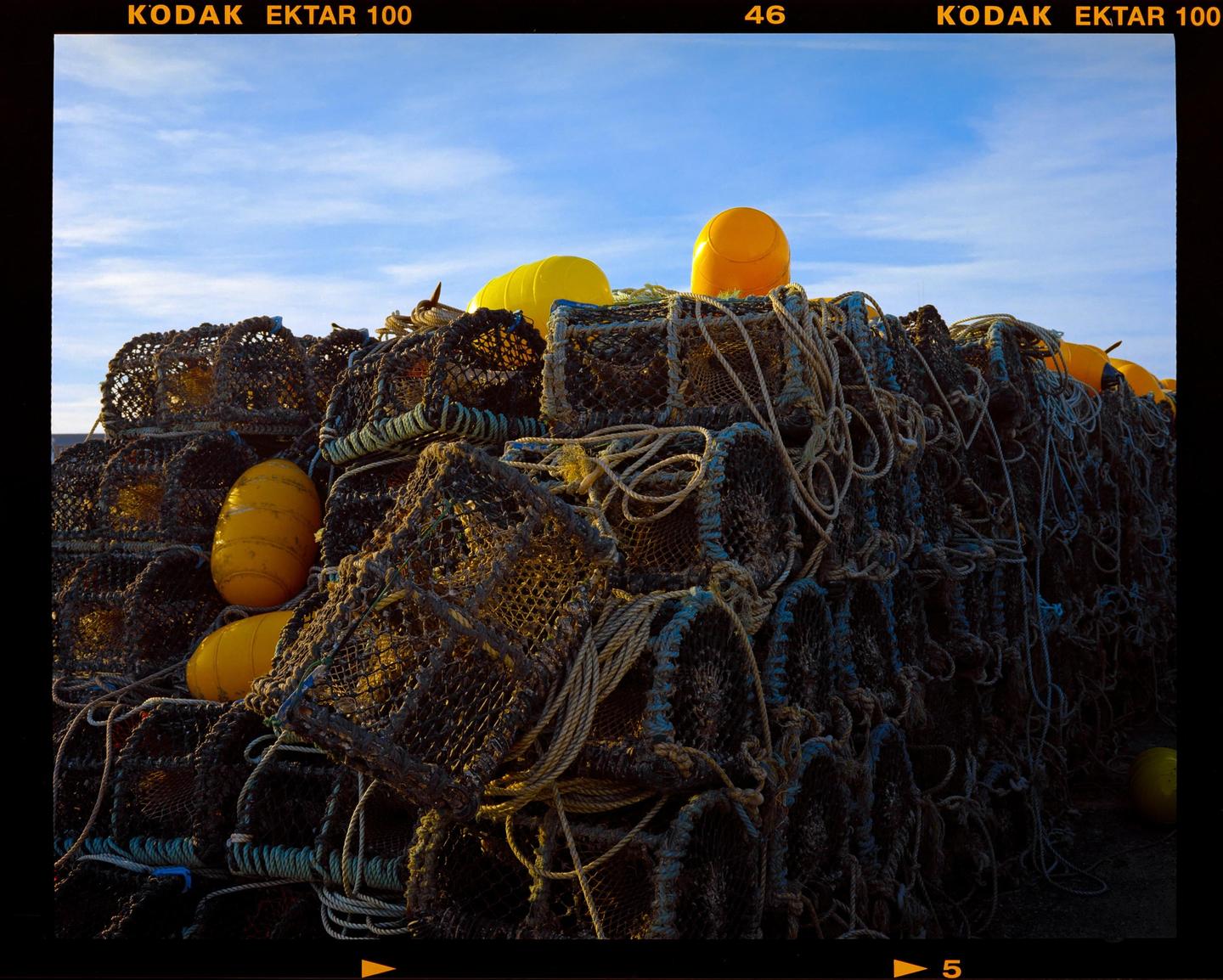 A large pile of lobster pots and buoys is visible under a blue sky.