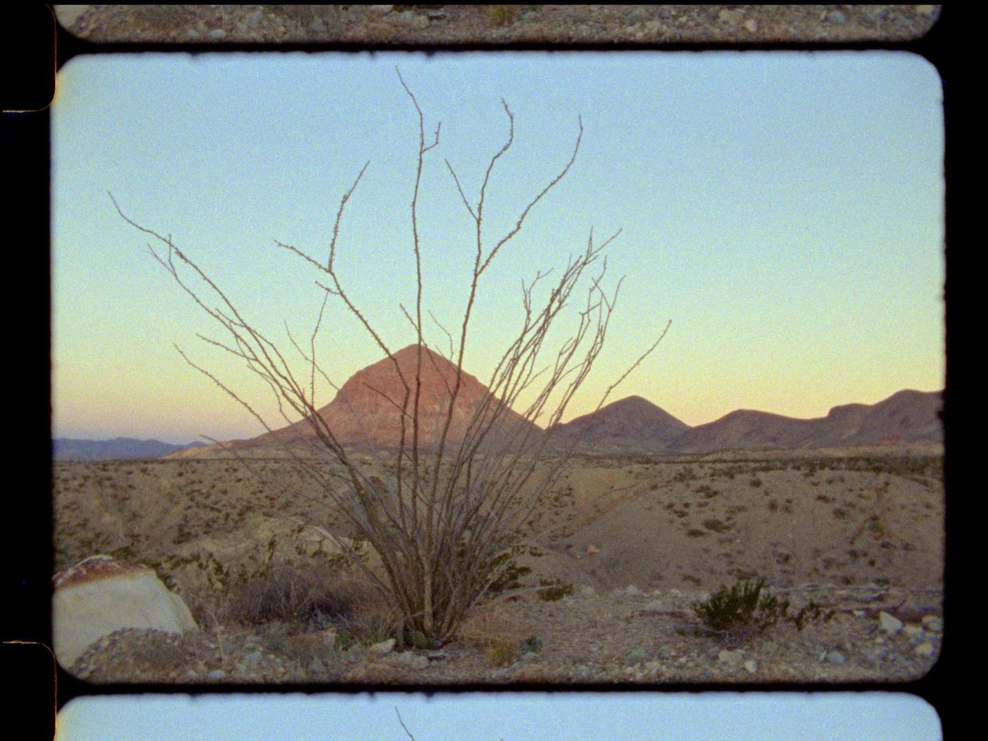 A desert landscape features a large bush in the foreground with mountains and a colorful sky in the background.