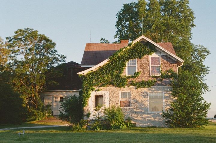 A house covered in ivy and surrounded by trees is illuminated by the golden hour sun.