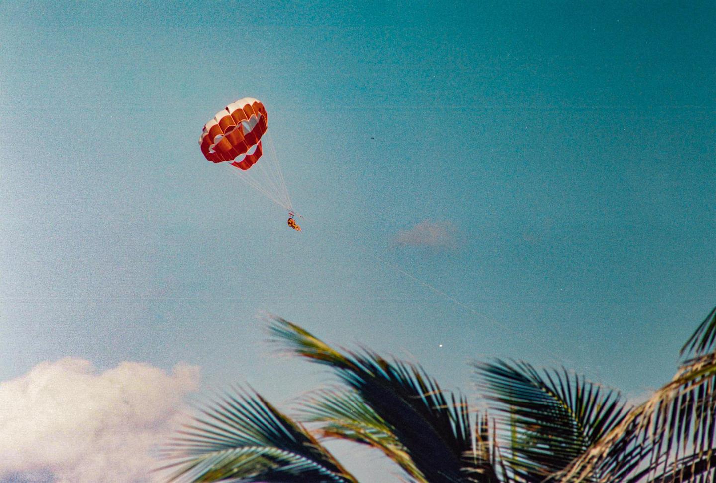 A person parasails under a red and white parachute above palm fronds and a blue sky.