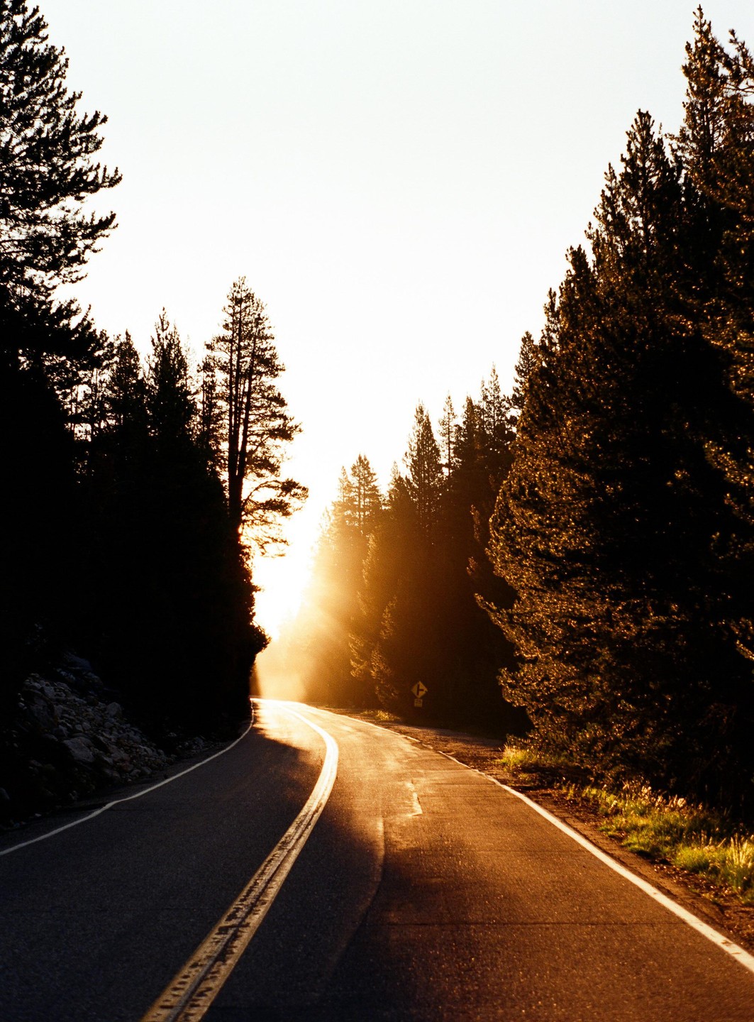 A winding road leads into a bright light between dark trees.