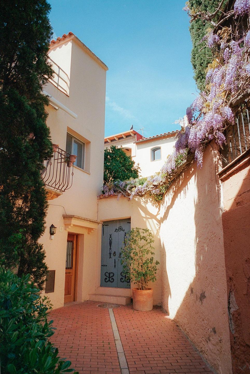 A narrow brick alleyway leads to a light blue door and a wooden door, with purple wisteria hanging over a wall.