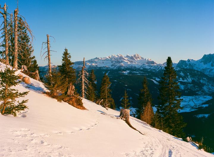A snowy mountain slope with evergreen trees and tree stumps leads down to a valley with snow-capped mountains in the distance under a clear sky.