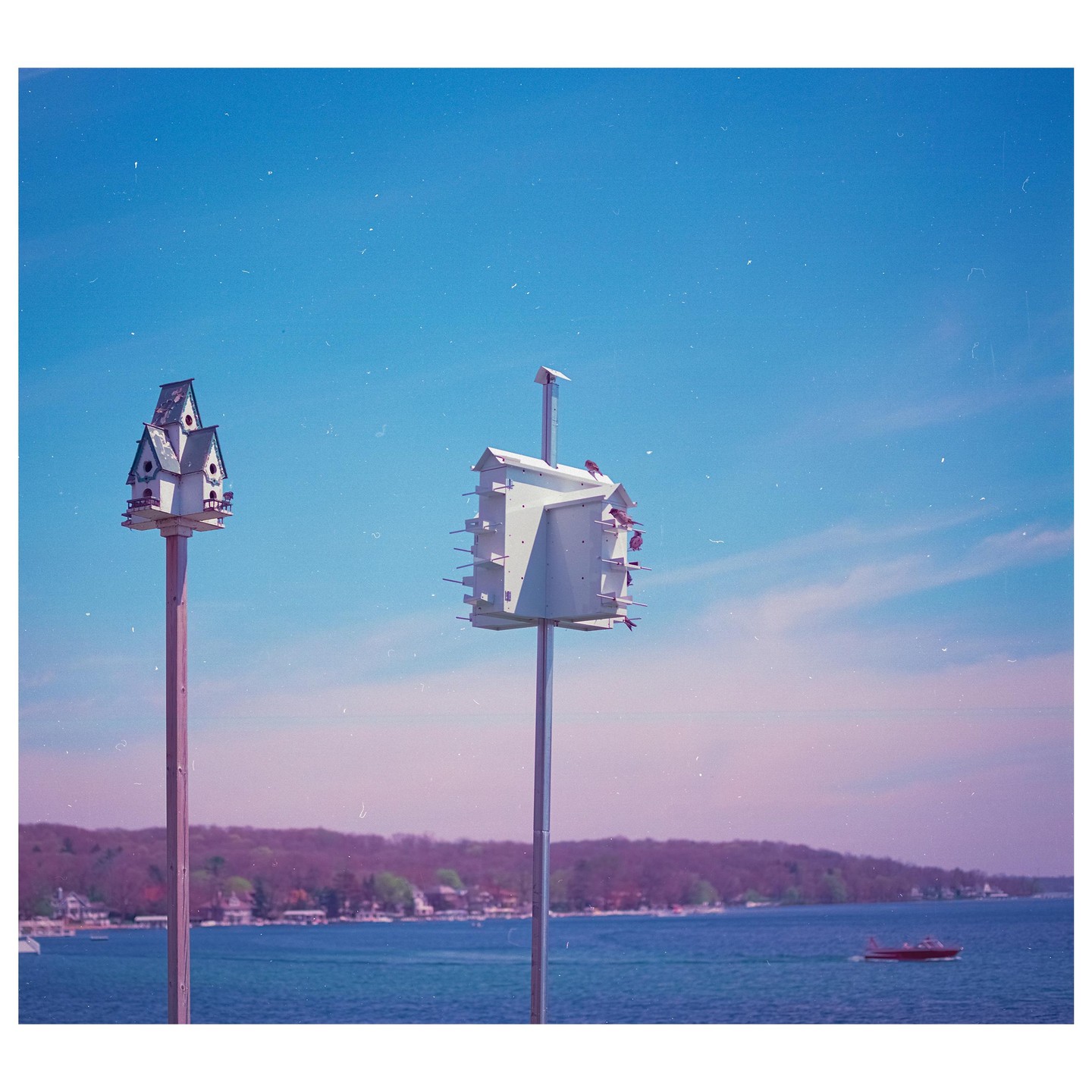 Two birdhouses on tall poles stand in front of a lake with a forested shore and a small boat.