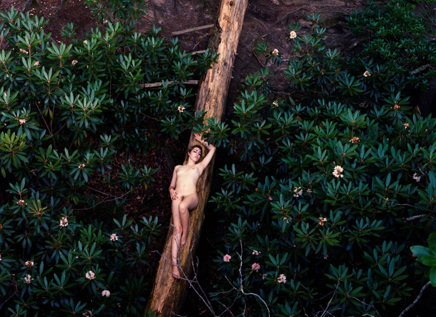 A nude woman lies on a fallen tree trunk surrounded by green foliage with small pink and white flowers.