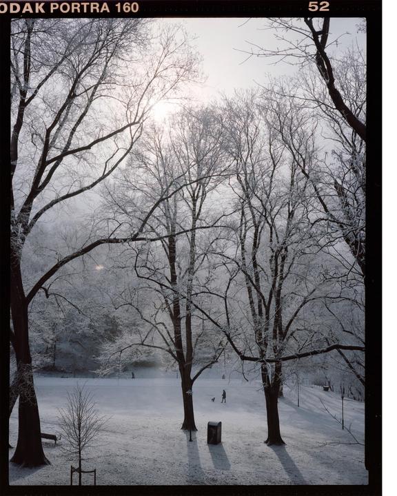 A snow-covered park with bare trees and a person walking a dog is visible under a bright sky.