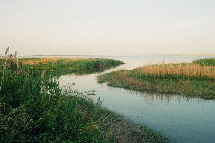 A body of water winds through a marsh with tall grasses under a pale sky.