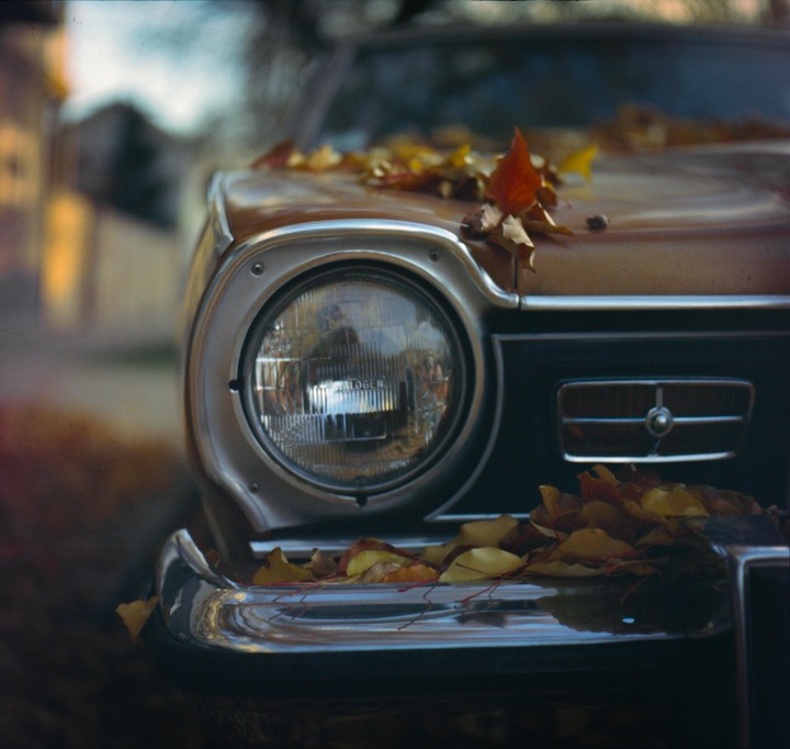 Autumn leaves are scattered across the hood and bumper of a vintage car.