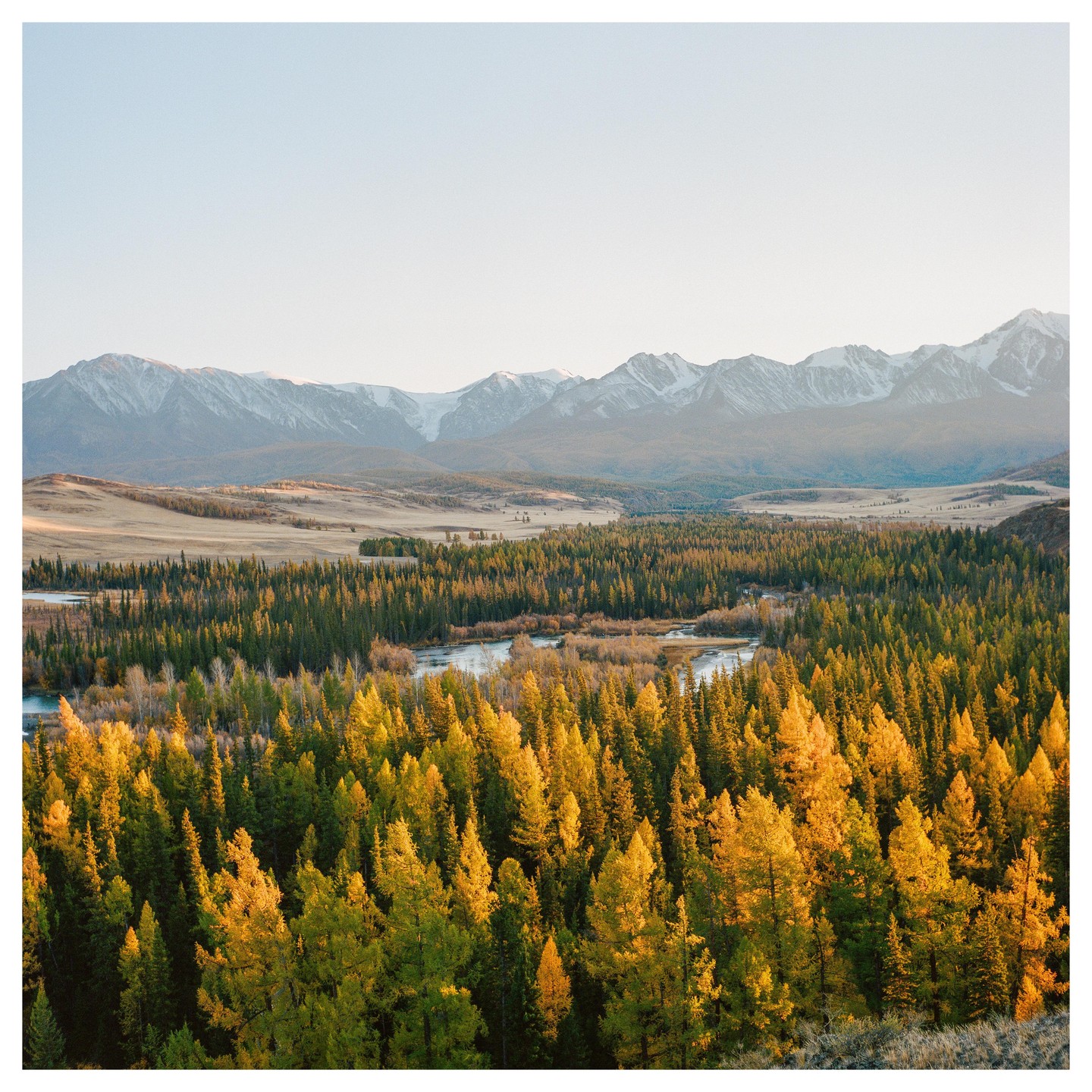 A vast forest with golden autumn foliage is visible in the foreground, with a river and snow-capped mountains in the background.