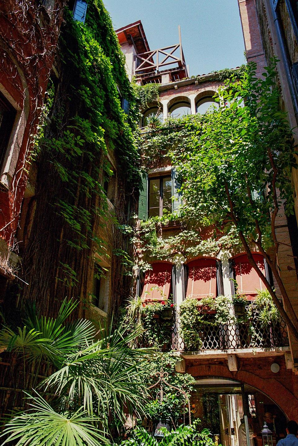 A narrow alley is surrounded by buildings covered in green ivy and plants, with a balcony and red awnings visible.