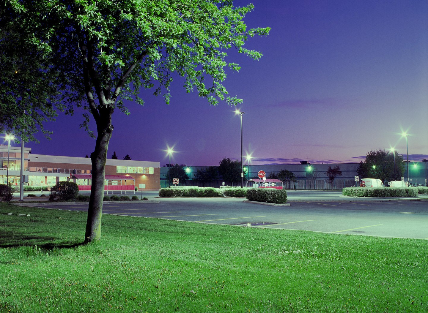 A tree stands in the foreground of a parking lot with a building and streetlights under a twilight sky.