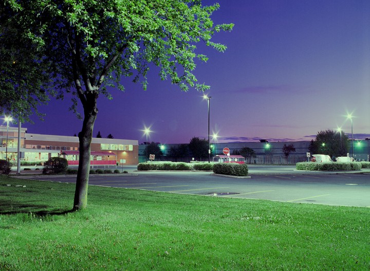 A tree stands in the foreground of a parking lot with a building and streetlights under a twilight sky.