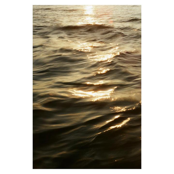 Sunlight reflects off the surface of rippling water.