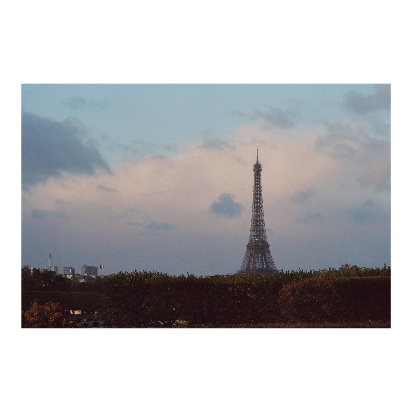 The Eiffel Tower rises above a line of bushes under a cloudy sky.