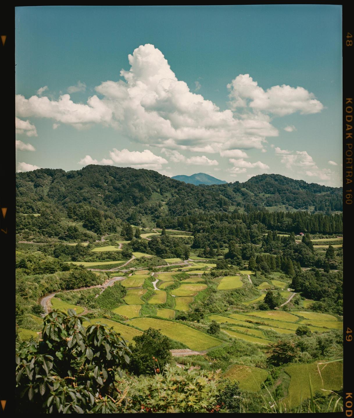 Terraced rice paddies are nestled among green hills under a blue sky with white clouds.