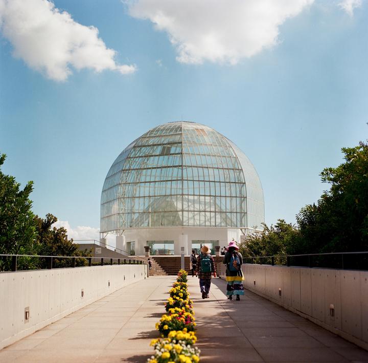 Two people walk along a path lined with yellow flowers towards a large glass dome building under a blue sky with clouds.