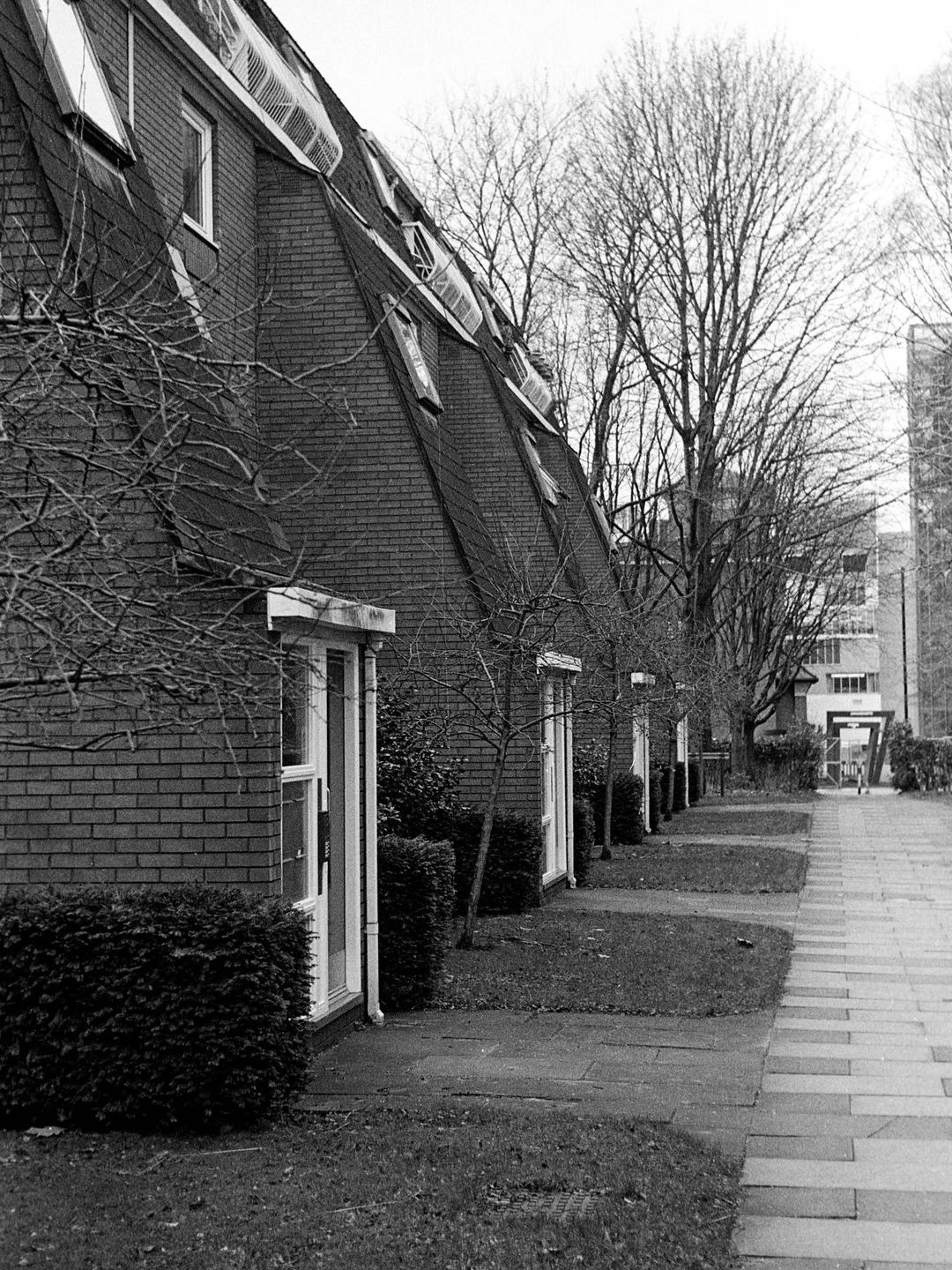 A row of brick houses with steeply angled roofs and dormer windows stands beside a paved walkway and bare trees.