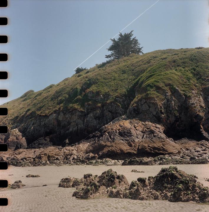 A sandy beach with rocks and a grassy hill with a tree under a clear sky with a contrail.