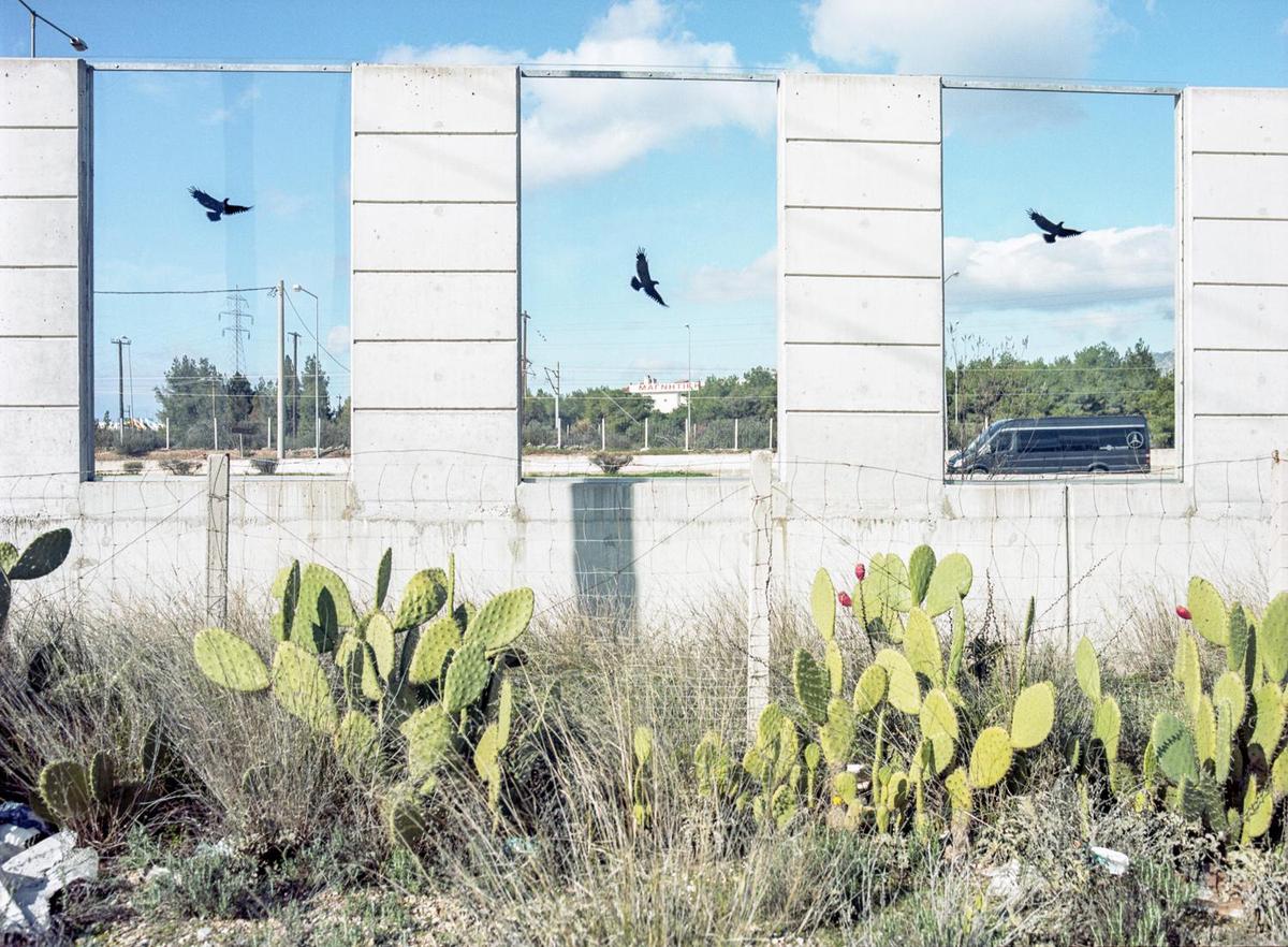Three birds fly in a blue sky visible through rectangular openings in a concrete wall, with cacti and dry grass in the foreground.