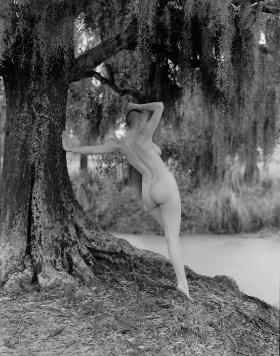 A nude woman with a shaved head leans against a large tree with spanish moss hanging from its branches, next to a body of water.