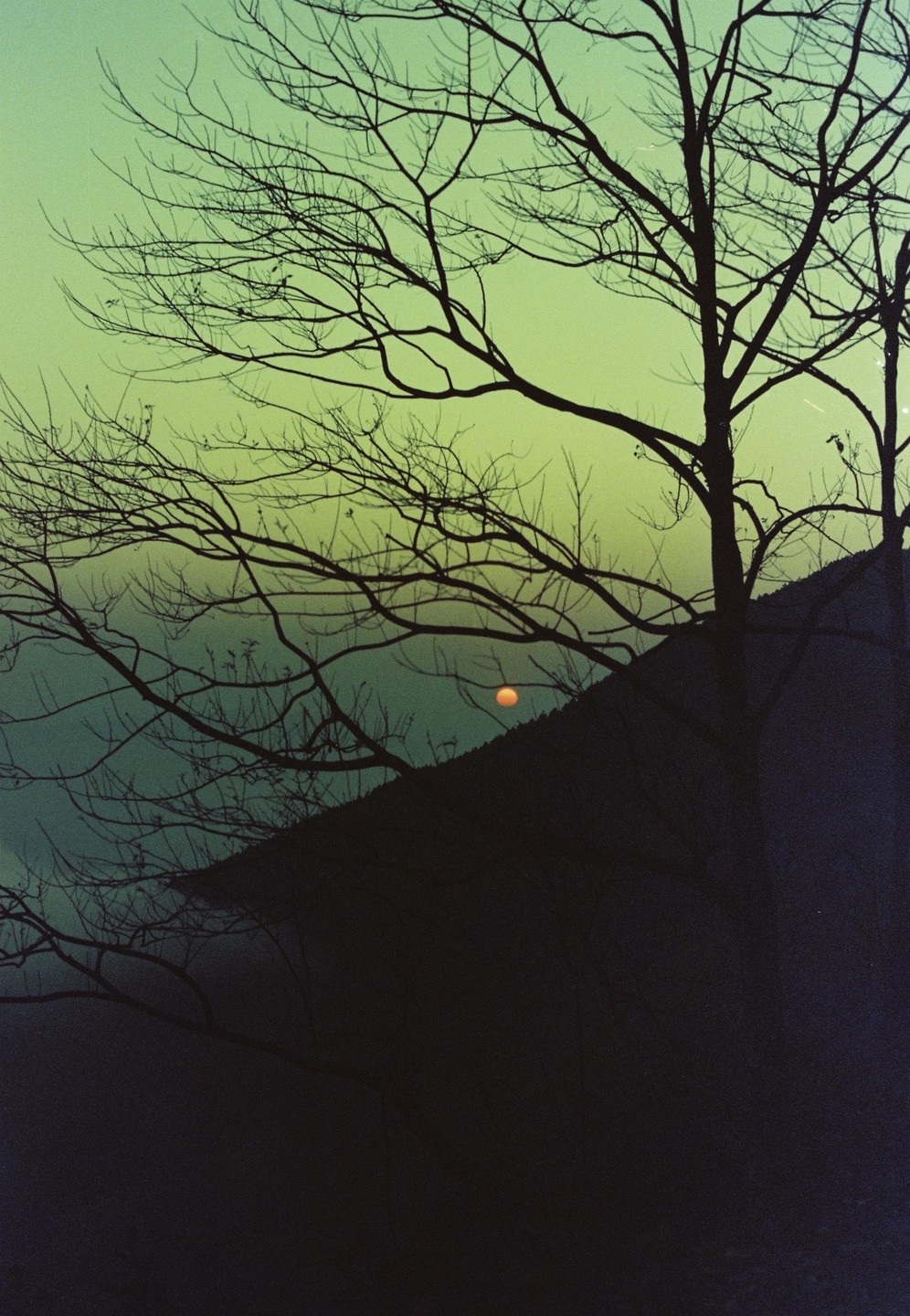 Bare tree branches are silhouetted against a green sky with a setting sun visible behind a dark hill.