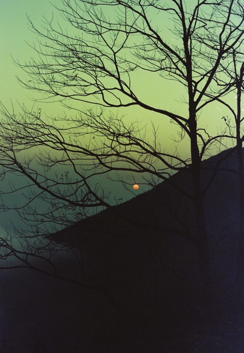Bare tree branches are silhouetted against a green sky with a setting sun visible behind a dark hill.