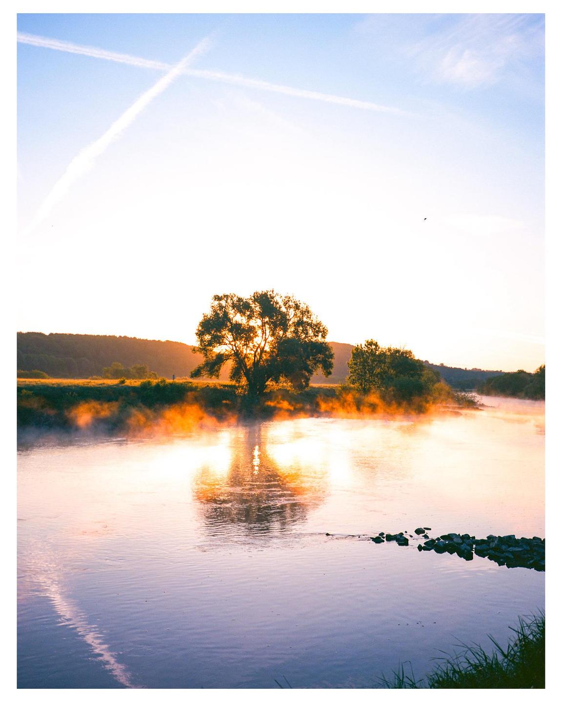 A tree stands on the bank of a river with mist rising from the water at sunrise.