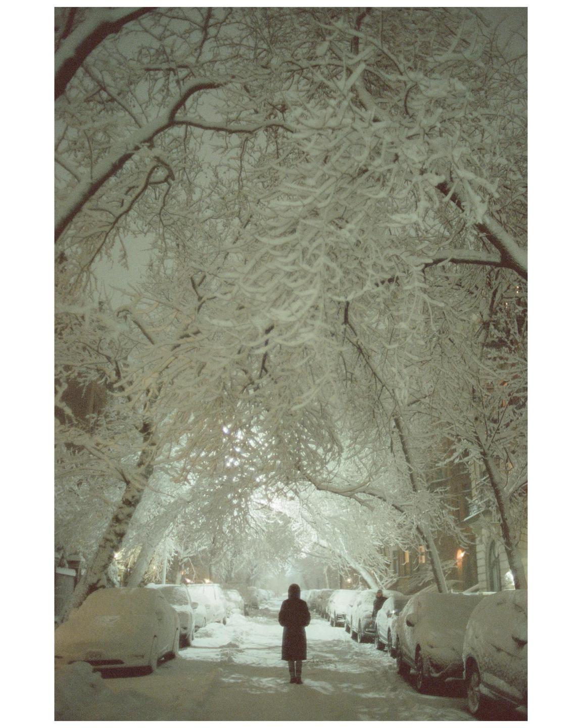 A person stands on a snow-covered street lined with parked cars and trees with snow-laden branches.