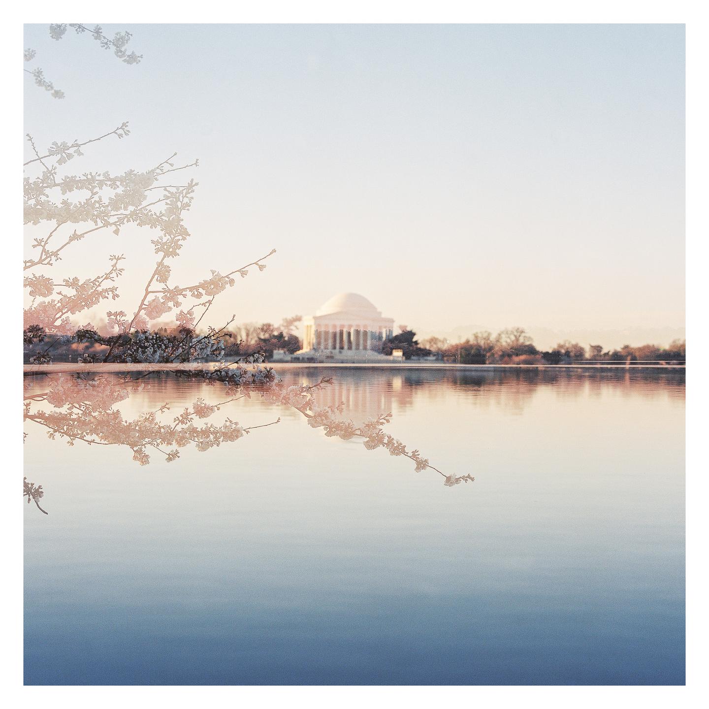 Cherry blossoms are visible in the foreground with the Jefferson Memorial across a body of water in the background.