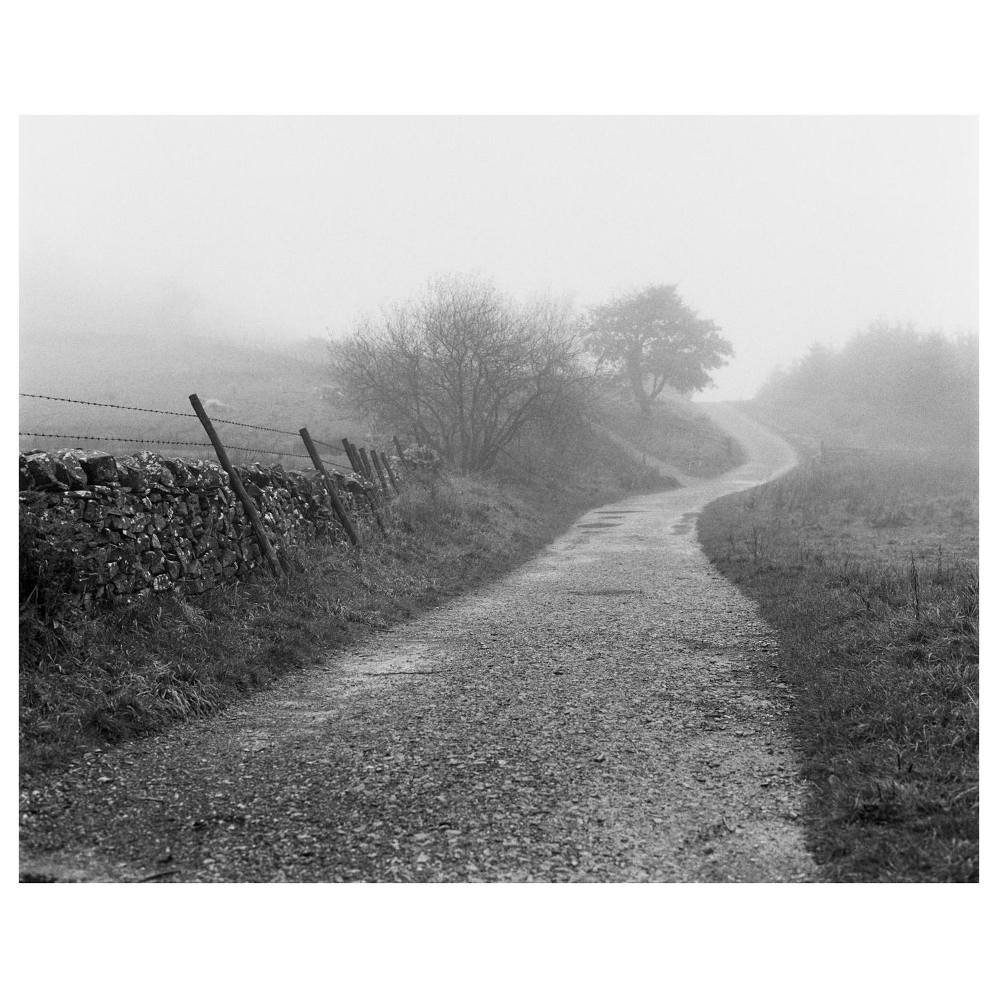 A winding gravel road leads into a foggy landscape with a stone wall and trees.