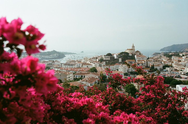 A hillside town with white buildings and red roofs overlooks a bay filled with boats, framed by vibrant pink bougainvillea in the foreground.