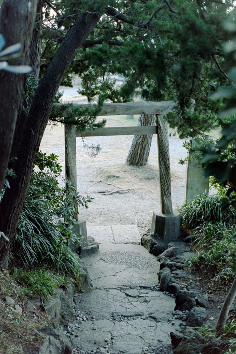 A wooden torii gate stands at the end of a cracked concrete path, surrounded by trees and foliage.