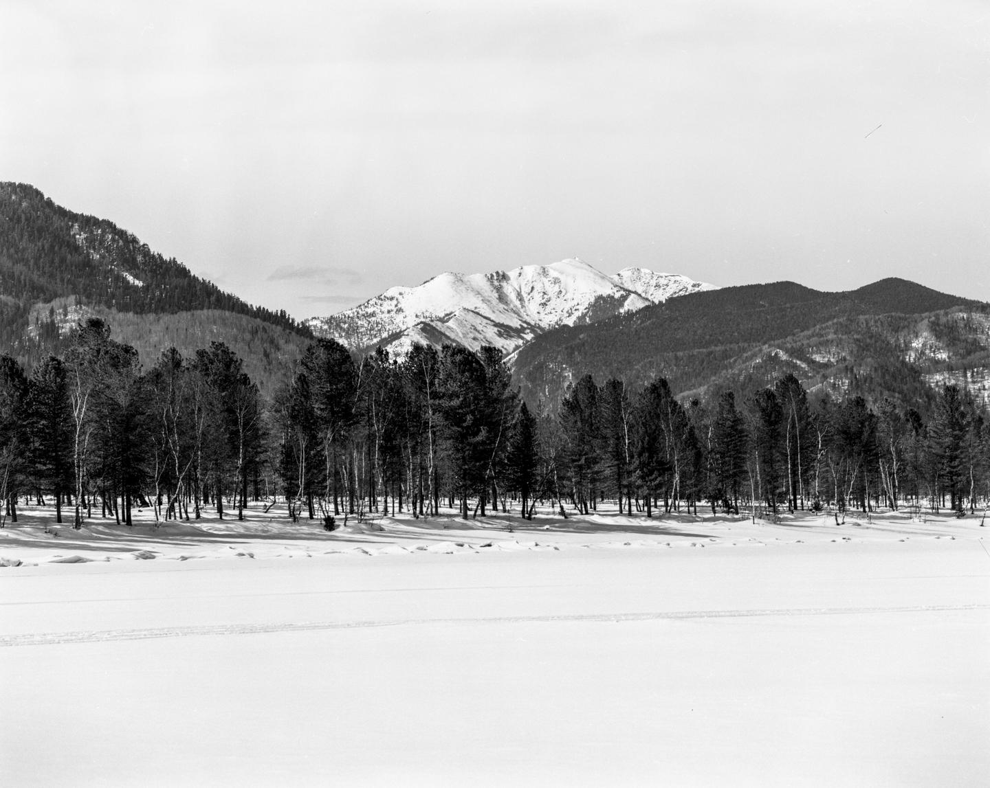 A snow-covered field with a line of trees in the middle ground and mountains in the background.
