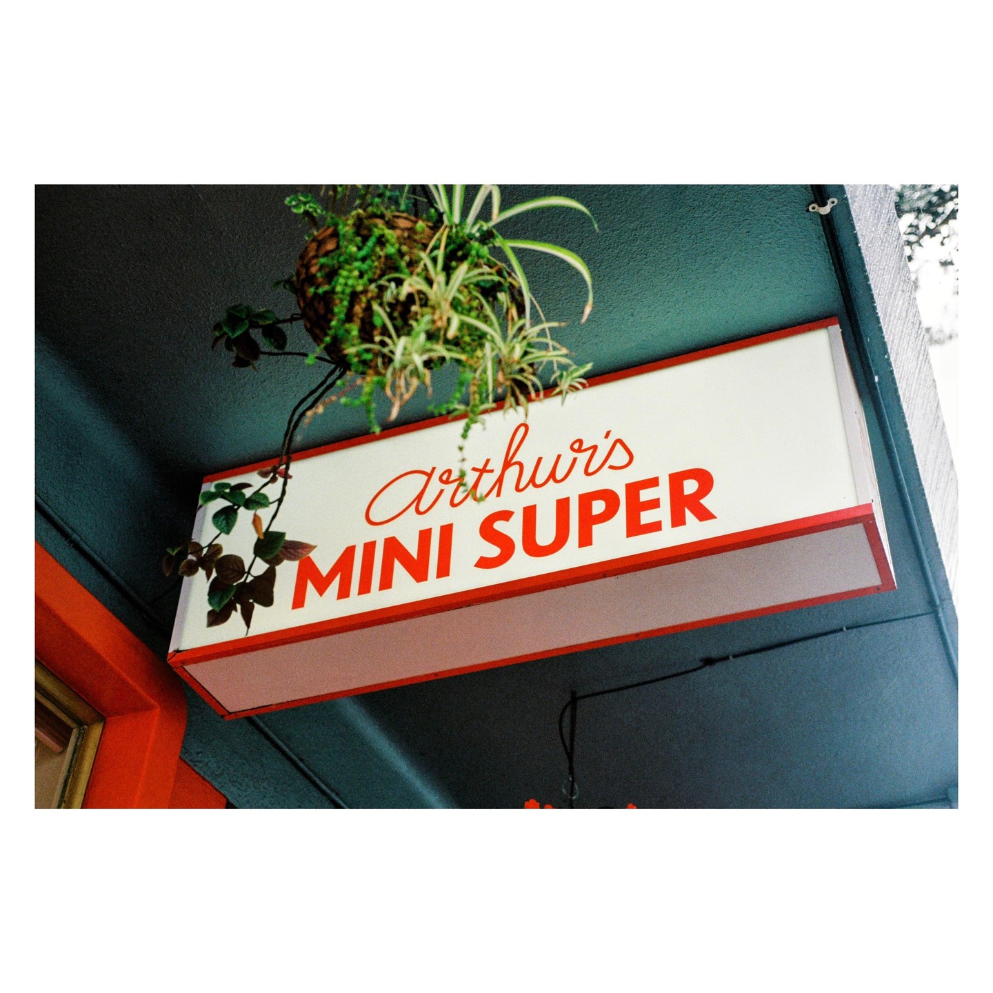 A white sign with red lettering for "Arthur's Mini Super" hangs from a dark green ceiling, with a hanging plant above it.