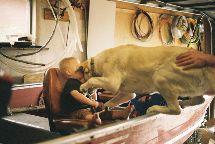 A dog leans over a child sitting in a boat, with a hand petting the dog's back.