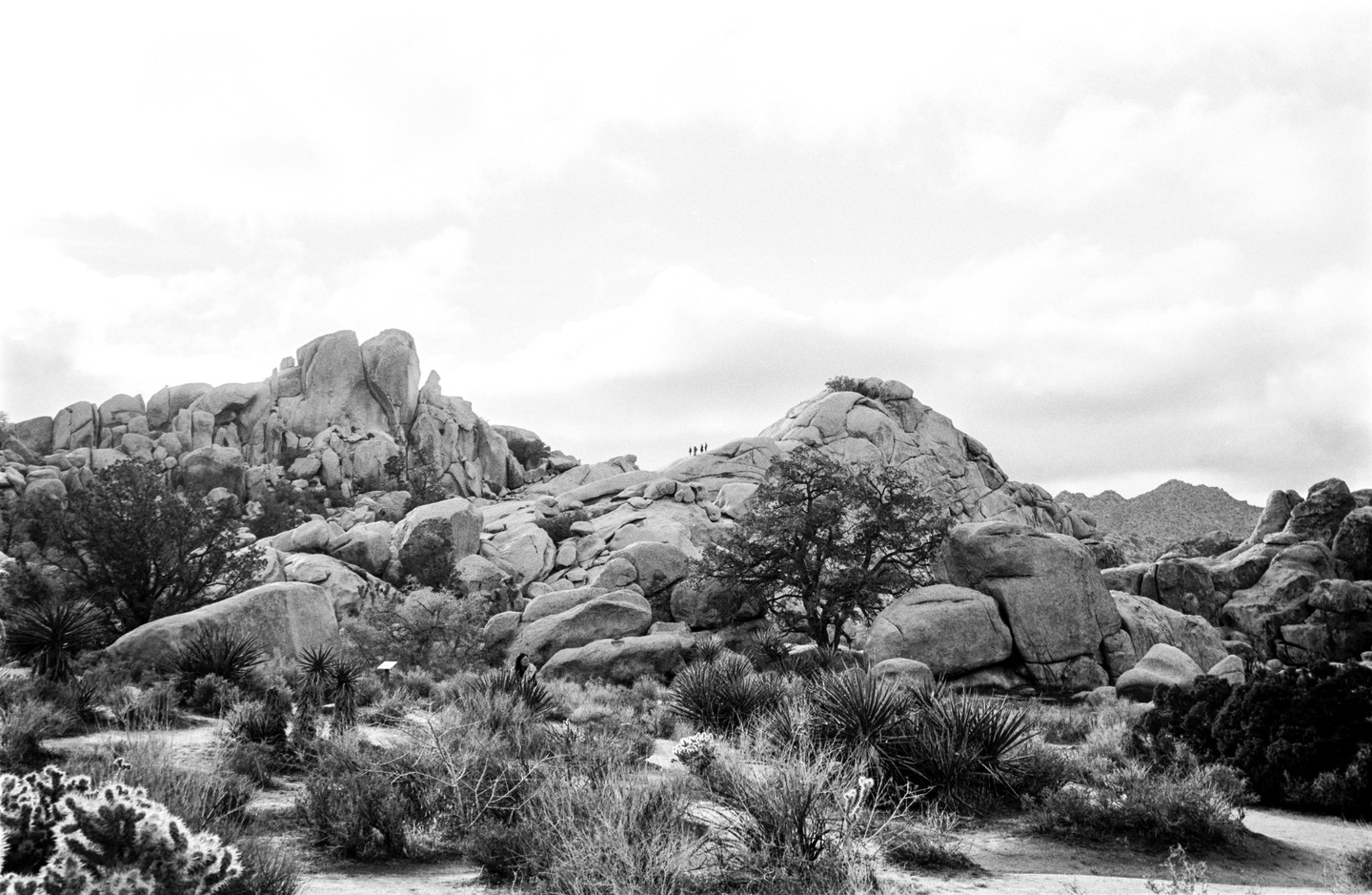 A group of people walk along a rocky path in a desert landscape with large boulders and sparse vegetation.