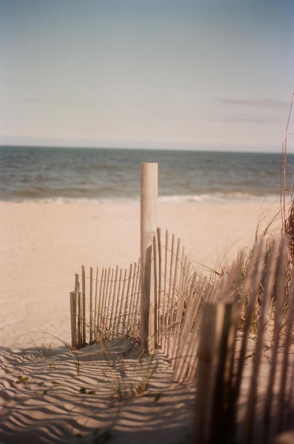 A wooden fence and tall grass stand on a sandy beach with the ocean in the background.