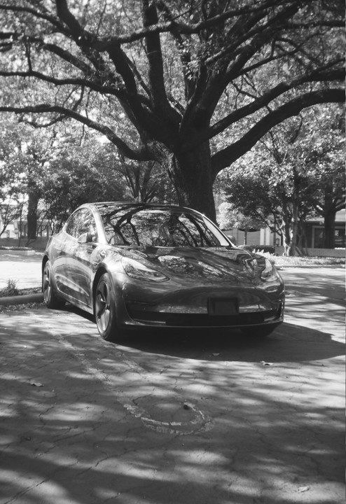 A car is parked under a large tree, with reflections of the tree visible on the car's surface.