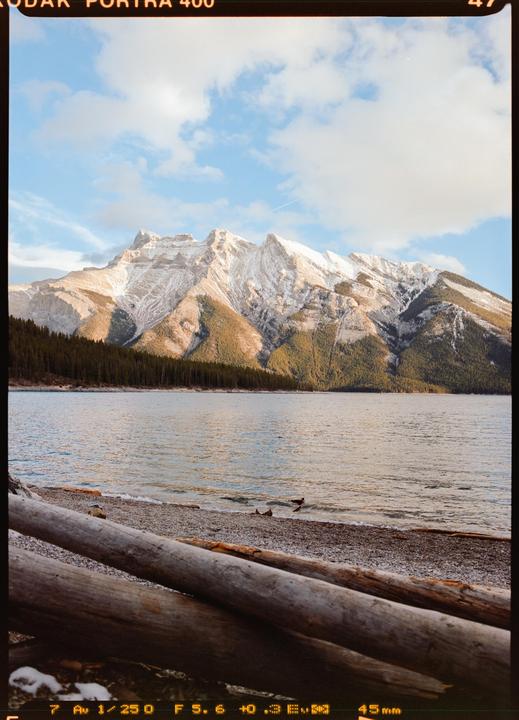 A large lake with a rocky shore and logs in the foreground is surrounded by a forest and snow-capped mountains under a cloudy sky.