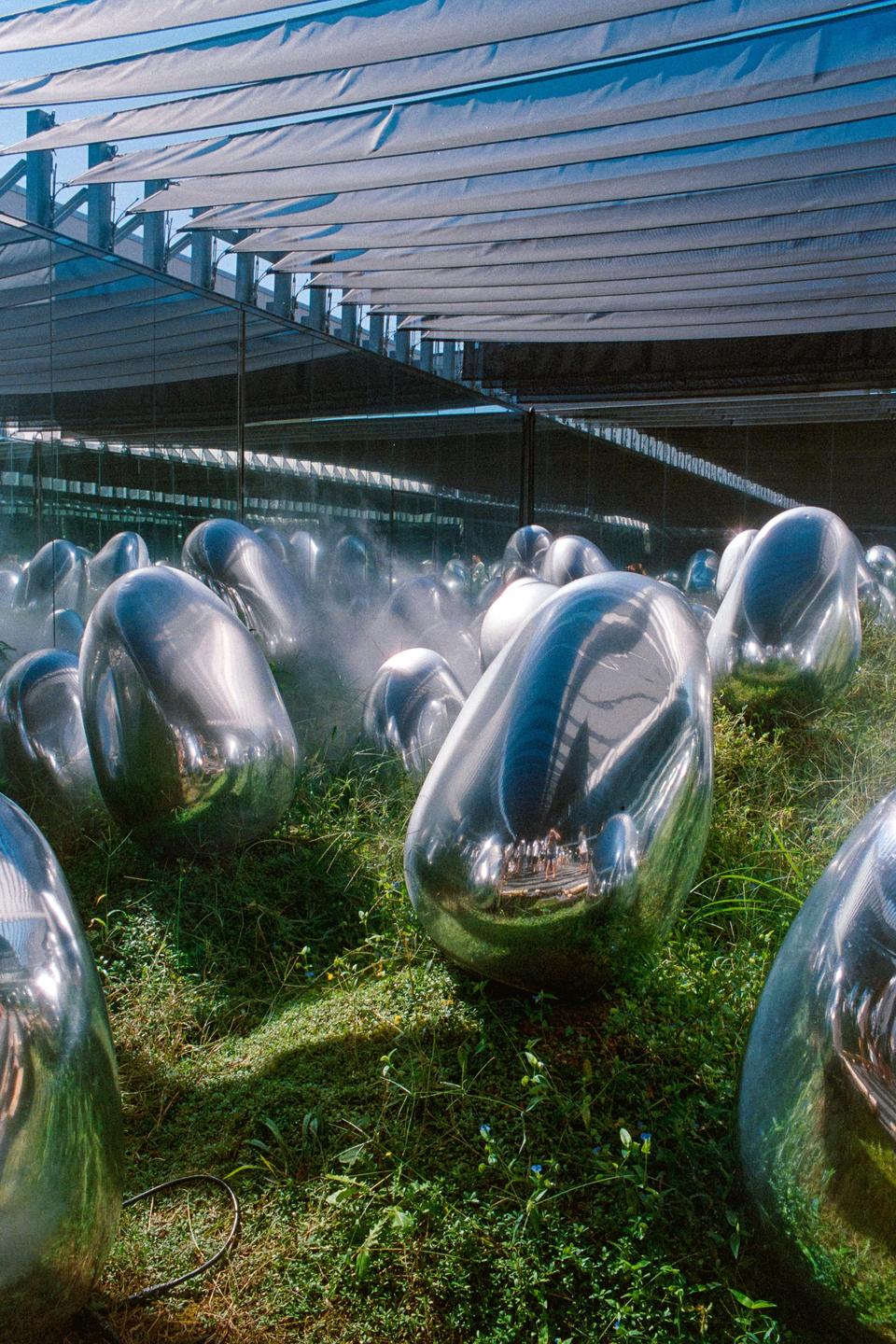 A field of reflective, egg-shaped sculptures sits on a grassy lawn under a shaded structure.